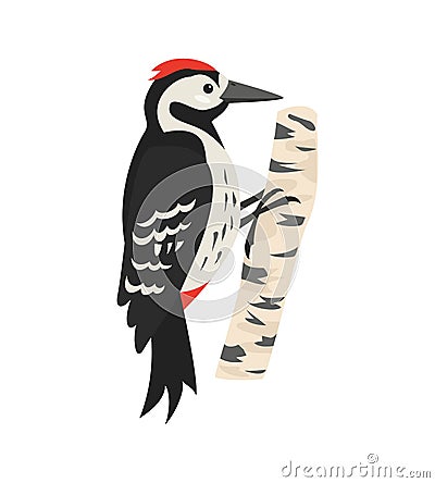 Cartoon woodpecker icon on white background. Vector Illustration