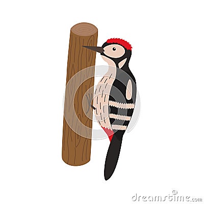 Cartoon woodpecker on a tree Vector Illustration