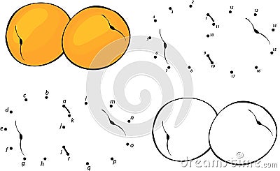 Cartoon yellow apricot. Vector illustration. Coloring and dot to dot Vector Illustration