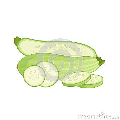 Composition with a zucchini. Vector illustration. Vector Illustration