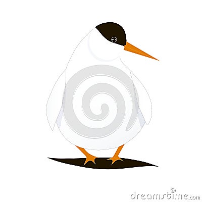 Cartoons bird Arctic Tern stock vector illustration for web, for print Vector Illustration