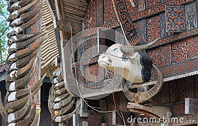Carved buffalo head decoration on Tongkonan traditional house Stock Photo