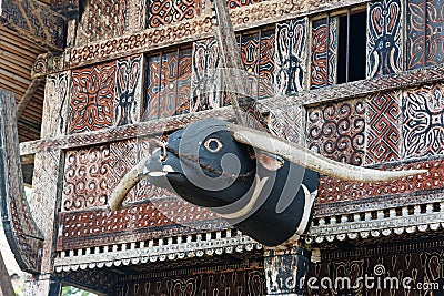 Carved buffalo head decoration on Tongkonan traditional house Stock Photo