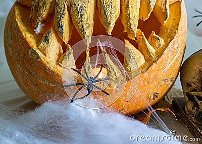 Carved pumpkin with a scary smile, spiders, white cobweb background, decoration and holiday concept, carved pumpkin for a fun Stock Photo