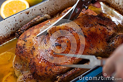 Carving delicious roasted duck with oranges in a pan, rustic style Stock Photo