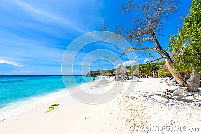 Cas Abao beach - paradise white sand Beach with blue sky and crystal clear blue water in Curacao, Netherlands Antilles, a Stock Photo