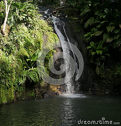 cascade de bis, tropical waterfall in the caribbean jungle, guadeloupe Stock Photo