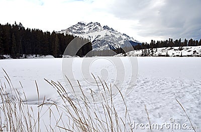 Cascade Mountain Stock Photo