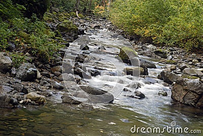 Cascade Stream Stock Photo