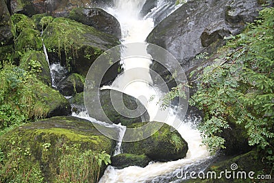 Cascade stream scenic Black Forest Stock Photo