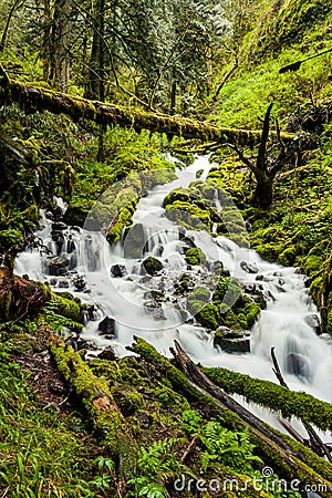 Cascade waterfalls in Oregon forest hike trail Stock Photo