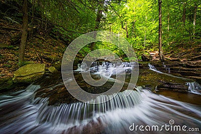 Cascades along Glen Leigh in Ricketts Glen State Park, Pennsylvania Stock Photo