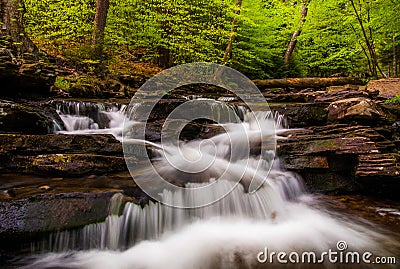 Cascades and bright spring greens on Glen Leigh, in Ricketts Glen State Park Stock Photo