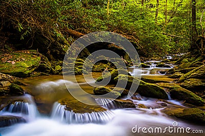 Cascades on a stream in a lush forest in Holtwood, Pennsylvania. Stock Photo