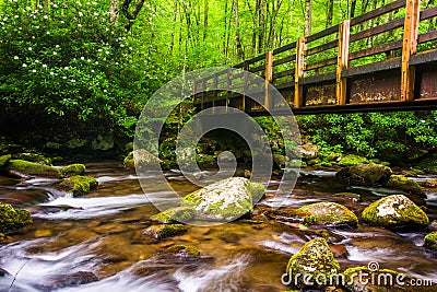 Cascades and walking bridge over the Oconaluftee River Stock Photo