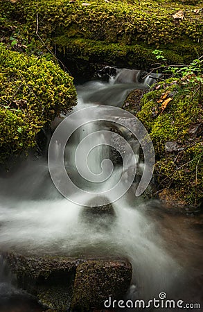 Cascading Canadian Wilderness Stream Stock Photo