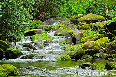 Cascading Mountain stream Stock Photo