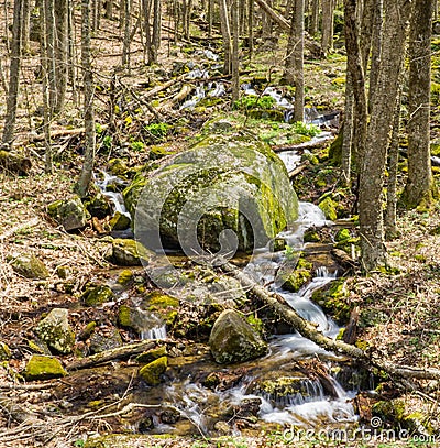 Cascading Mountain Waterfalls in the Woods Stock Photo