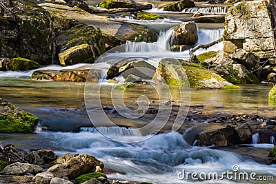 Cascading Wild Mountain Trout Stream Stock Photo