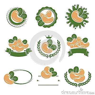 Cashew nuts labels and elements set. Vector Vector Illustration