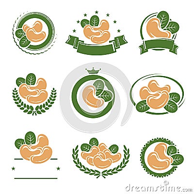 Cashew nuts labels and elements set. Vector Vector Illustration