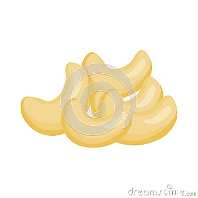 Cashew nuts.Vector illustration of nut. Vector Illustration