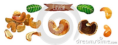 Cashew, watercolor illustration, clipping path included Stock Photo