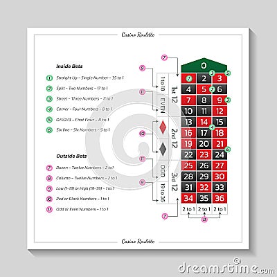 Casino european roulette rules with table and bets. Modern design. Infographics of playing and payout of game Vector Illustration