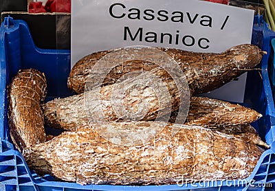 Cassava Manioc - potato of the Incas Stock Photo
