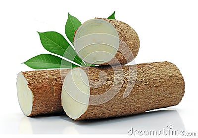 Cassava root isolated on white background Stock Photo