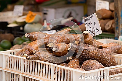 Cassava Stock Photo