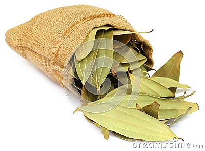 Cassia leaves in sack Stock Photo