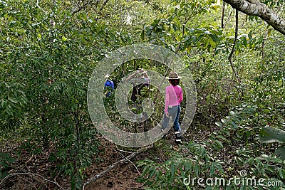 Cassilandia, Mato Grosso do Sul, Brazil - 02 28 2023: People trekking to a waterfall Editorial Stock Photo