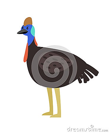 Cassowary cute cartoon bird Vector Illustration