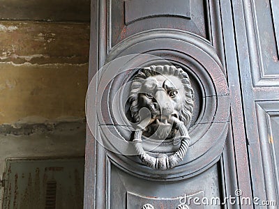 Lion shaped doorknocker with ring in its mouth Stock Photo