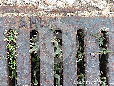 Sewer grate with enclosed plants, cement and gravel floor Stock Photo