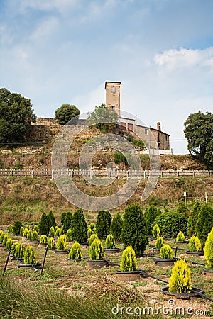 Castle of Sant Miquel at CastellterÃ§ol town Stock Photo