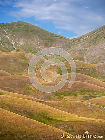 Castelluccio di Norcia, in Umbria, Italy. Rolling, colourful hills, golden hour evening landscape. Vertical. Stock Photo