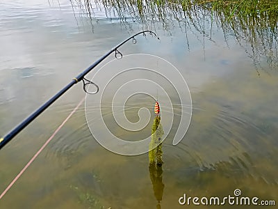 Casting out for fish and catching weeds Stock Photo