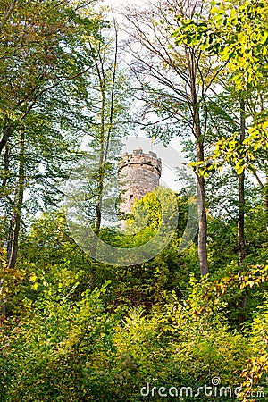 Castle Greifenstein in the Wood Stock Photo