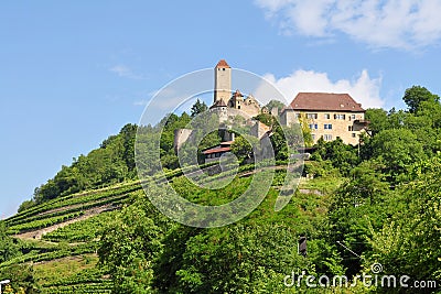 Castle Hornberg in Neckar valley in Germany Stock Photo