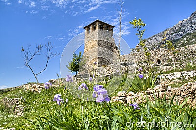 Castle in Kruje Stock Photo