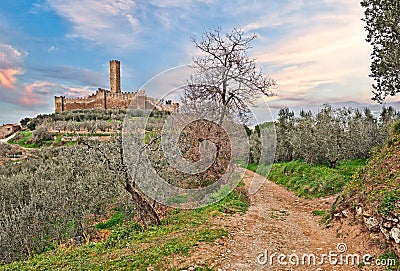 Castle of Montecchio Vesponi in Castiglion Fiorentino, Arezzo, T Stock Photo