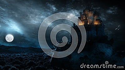 Castle In The Night Cartoon Illustration