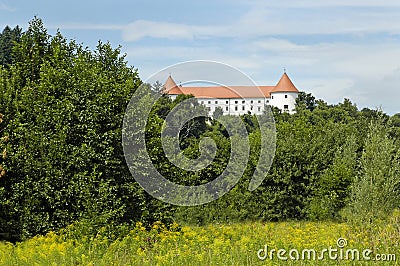 Castle in Slovenia Stock Photo