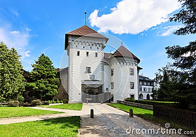Castle Velke Mezirici in Czech Republic, Vysocina district Stock Photo