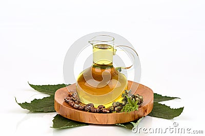 Castor oil bottle with castor fruits, seeds and leaf. Stock Photo