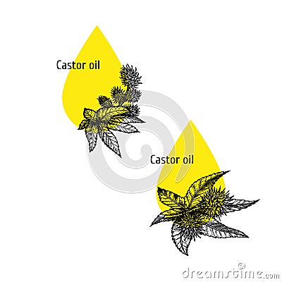 Castor oil icon set. Hand drawn sketch. Extract of plant. Vector illustration Vector Illustration