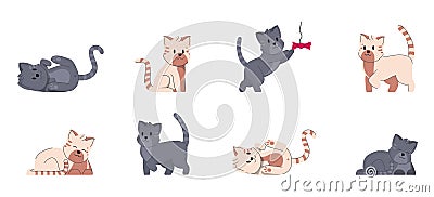 Cat adorable fummy animal. Set of cute kitty small friends. Vector Illustration