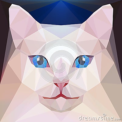 Cat. Angora breed Vector Illustration